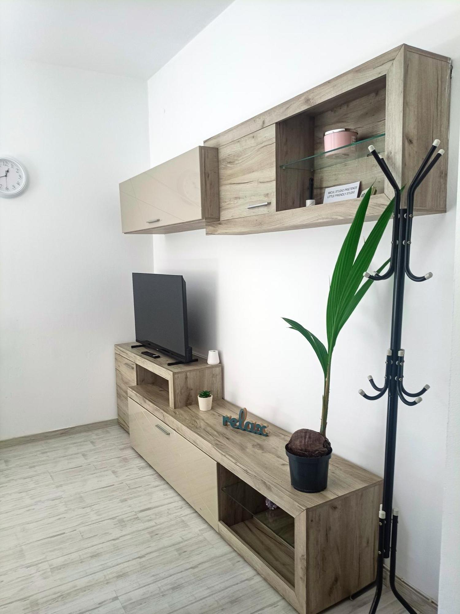 Friendly Little Studio Μπρασόβ Εξωτερικό φωτογραφία